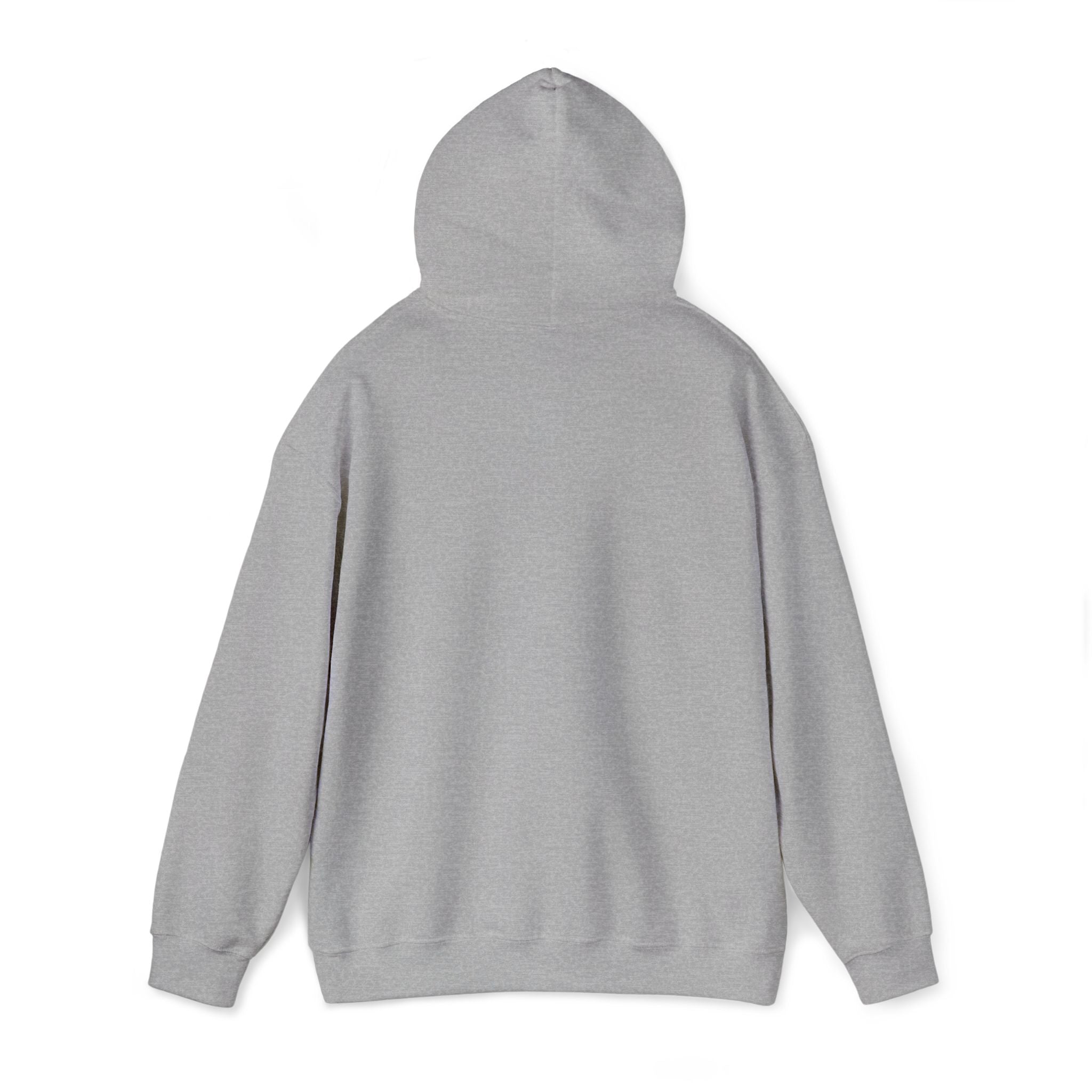 Sudadera oversize gris STYLE NARO — Monograma Chest